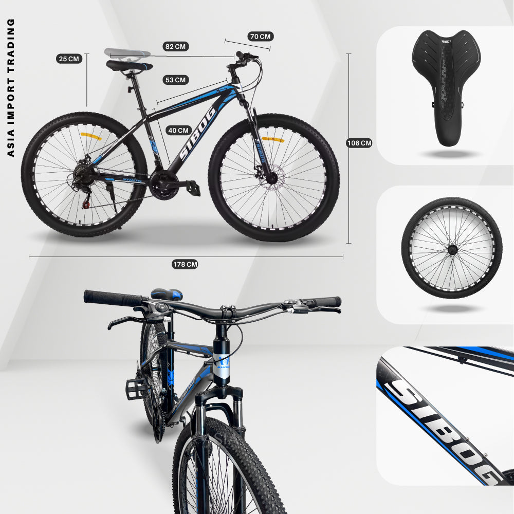Bicicleta Mountain Bike Aro 29 Azul