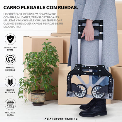 Carro de carga plegable Negro