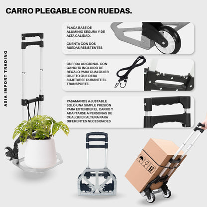 Carro de carga plegable Negro